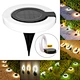 Solar Light