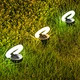 Solar Light